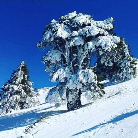 Dar Casa Plasa Grande Chefchaouen Εξωτερικό φωτογραφία